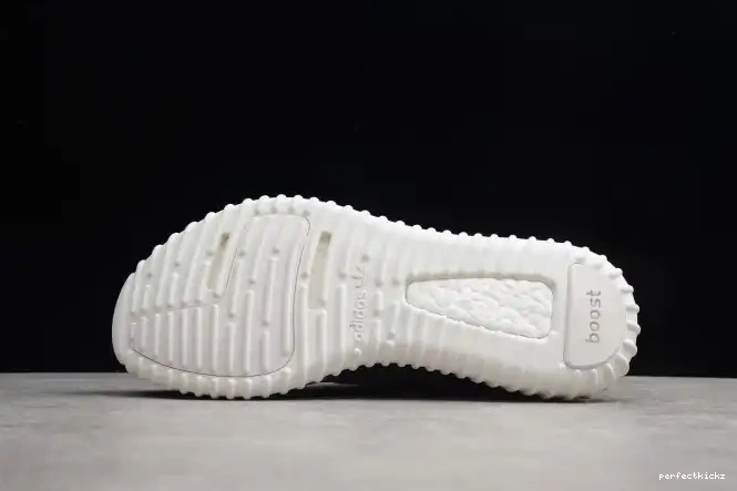 YEEZY Dove Boost 350 AQ4832 Adidas Turtle 0701
